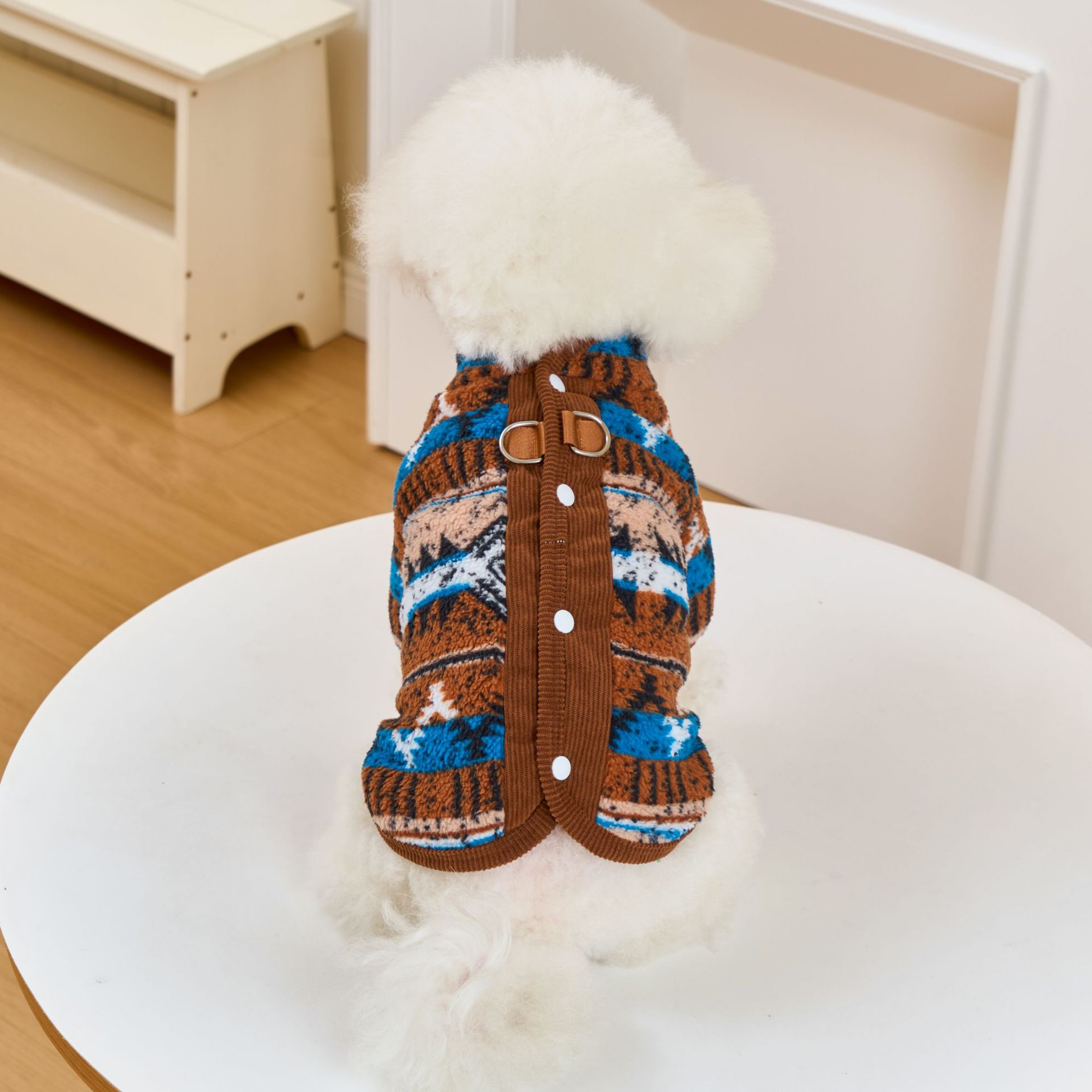 Anadolu Esintisi Köpek Polar