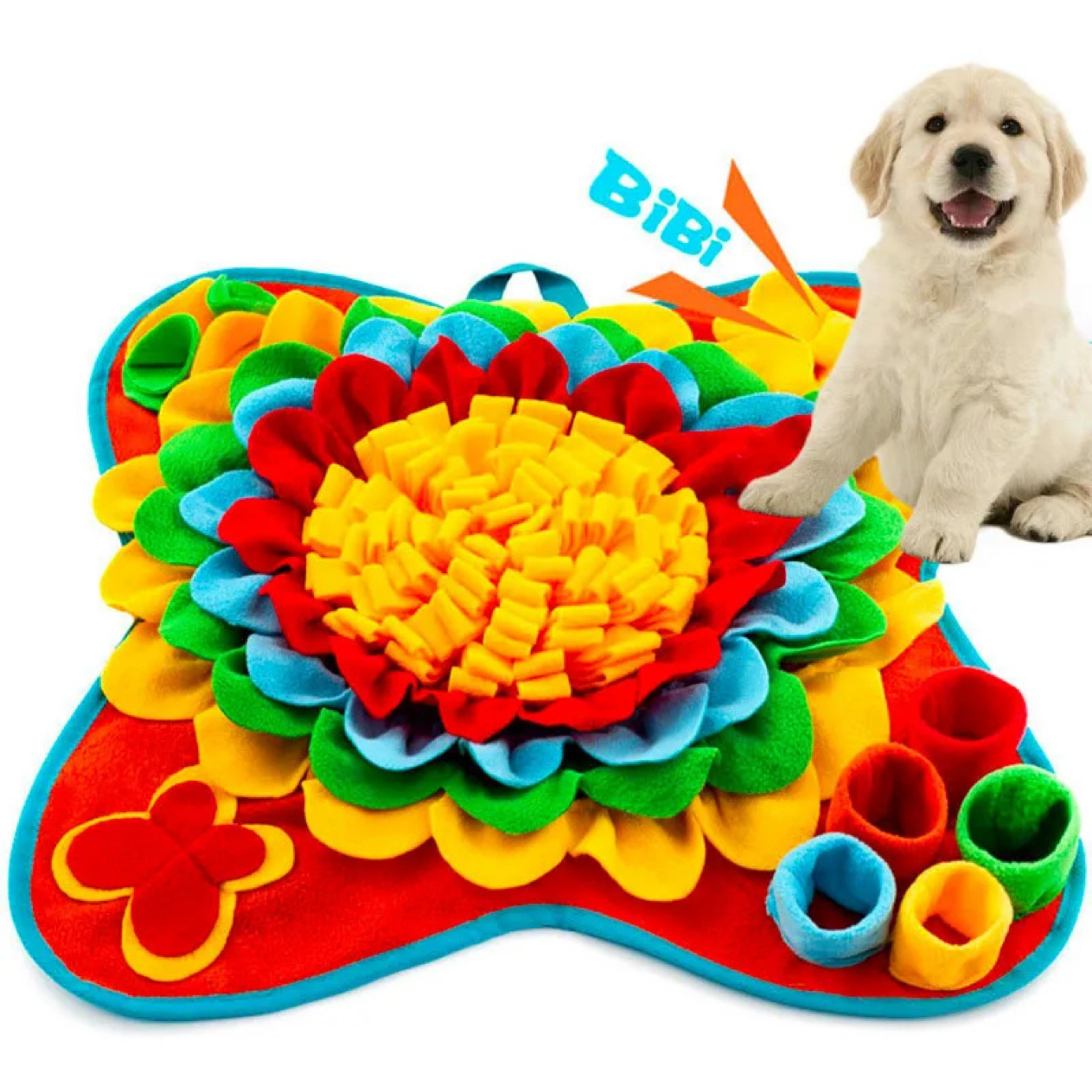 Maltipoodle