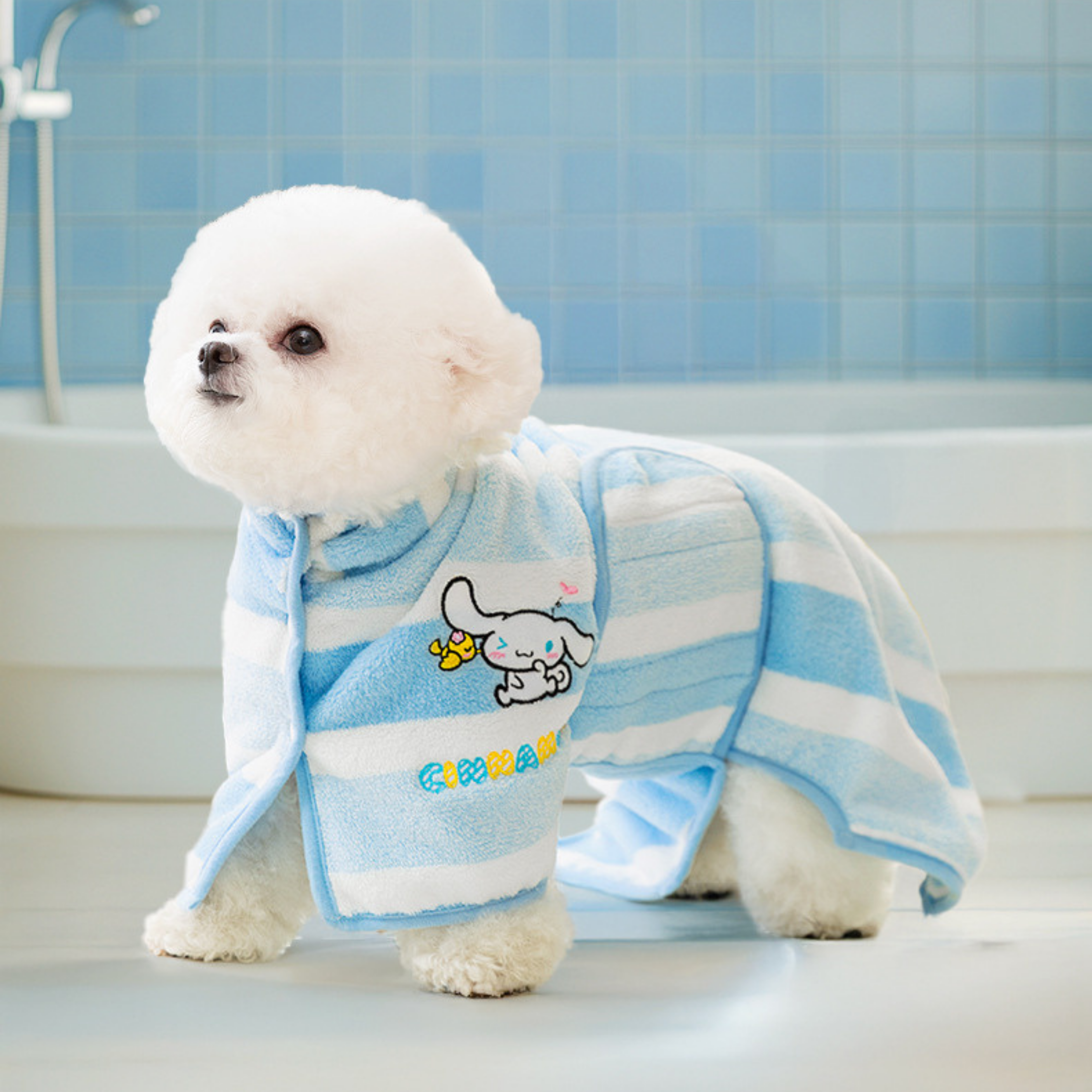 Maltipoodle