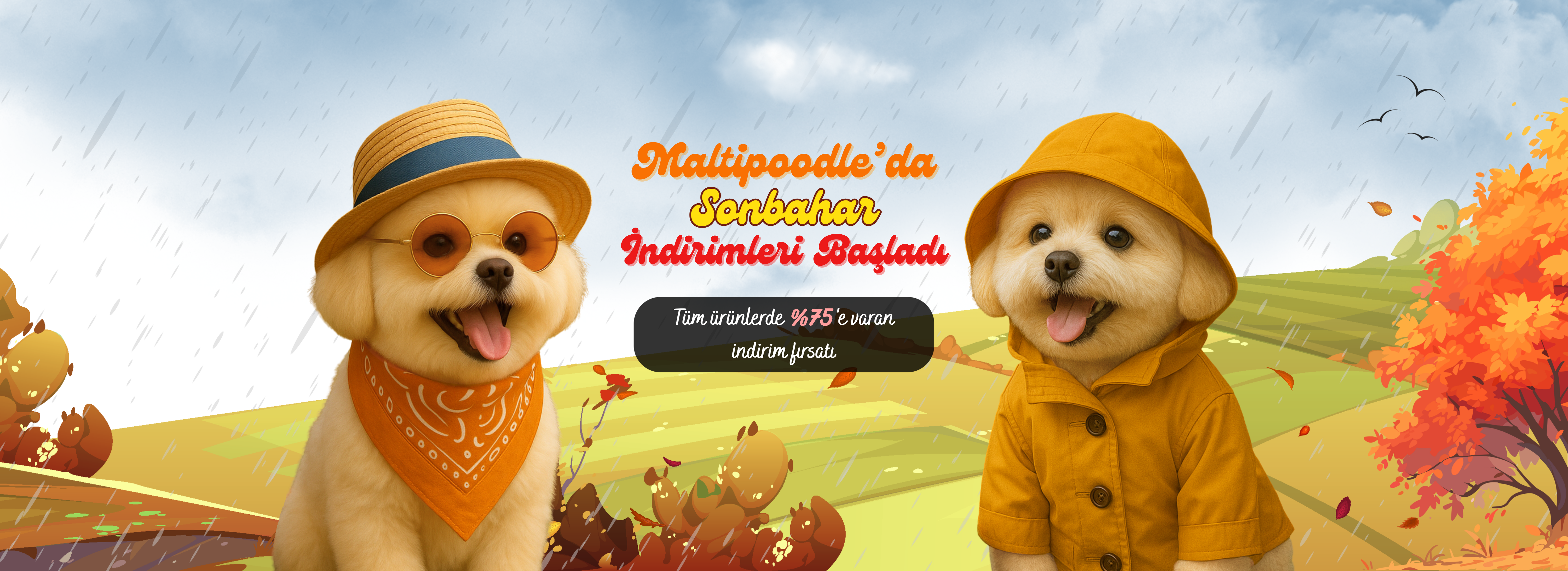 Maltipoodle