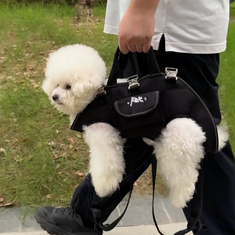 Maltipoodle